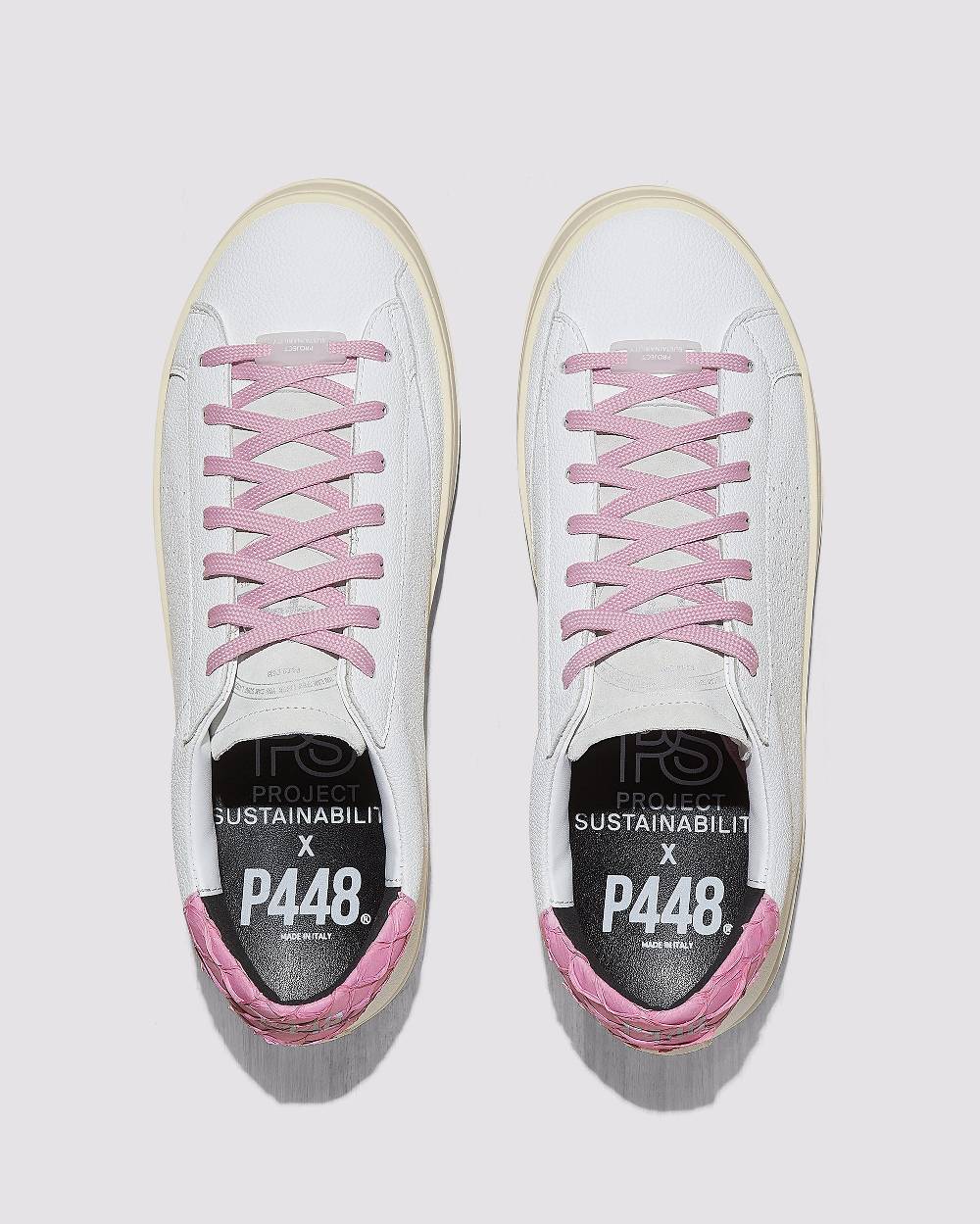 P448 John Carp/Pink Novità