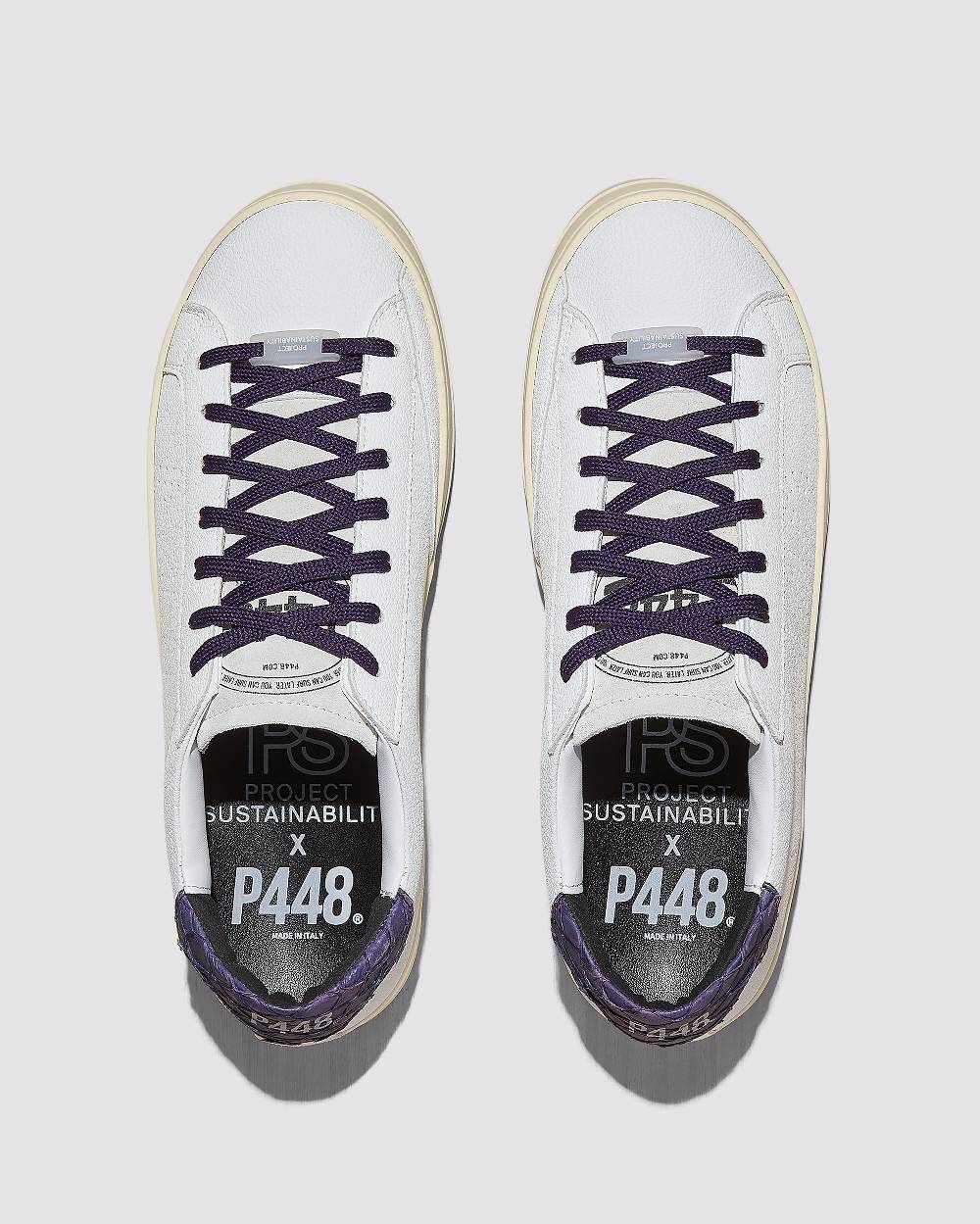 P448 John Carp/Violet Sconto