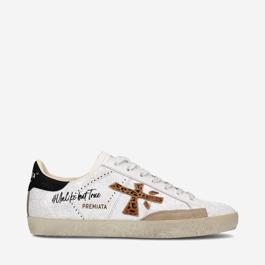 Premiata STEVEND 6660 Latest fashion
