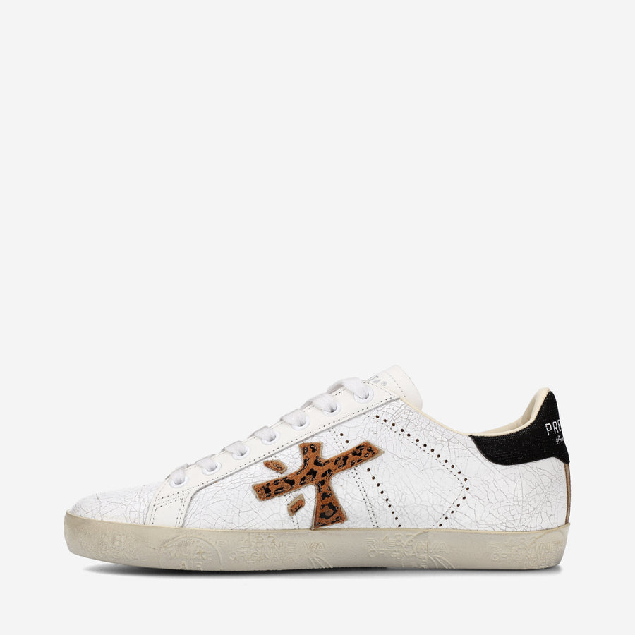 Premiata STEVEND 6660 Latest fashion