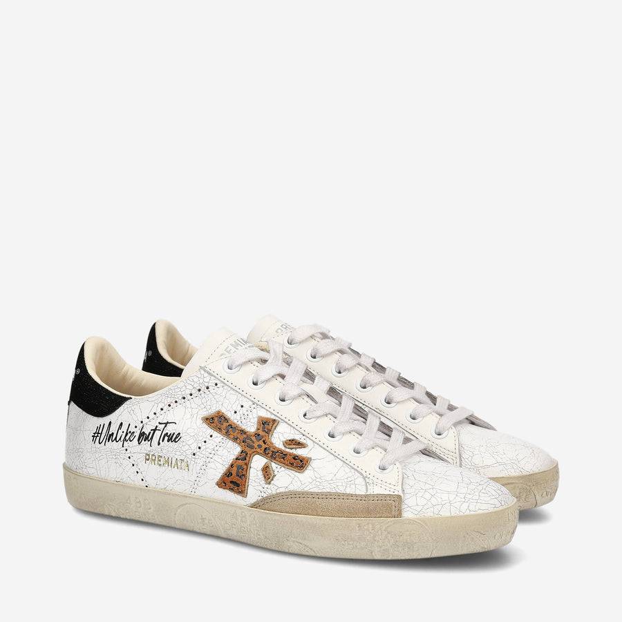 Premiata STEVEND 6660 Latest fashion