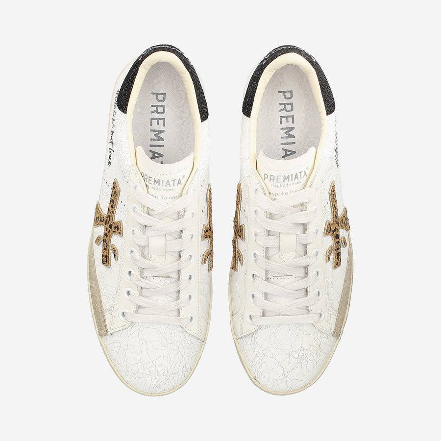 Premiata STEVEND 6660 Latest fashion