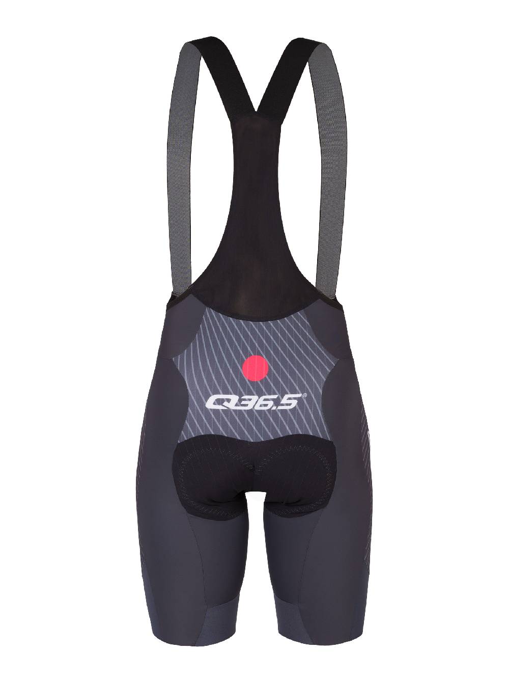 Q36.5 Gregarius Pro Japan Pantaloncini Nuova